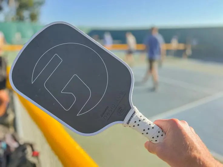 gamma obsidian pickleball paddle